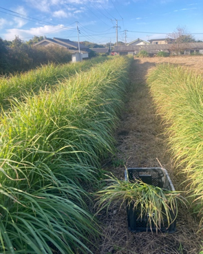 生産現場